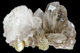 Rutilated Quartz Crystal Cluster - Brazil #109241-1